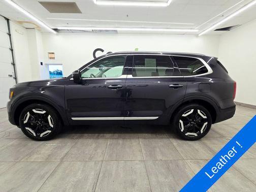 Panthera Metal 2025 Kia Telluride S