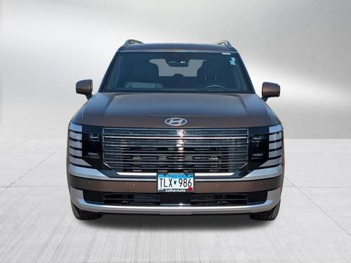 Earthy Brass Matte 2026 Hyundai PALISADE Calligraphy