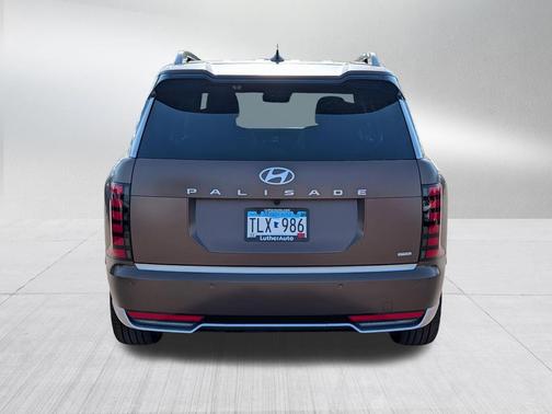 Earthy Brass Matte 2026 Hyundai PALISADE Calligraphy