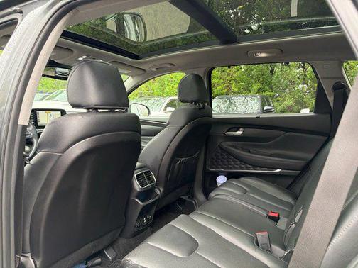 Rainforest 2020 Hyundai SANTA FE Limited 2.0T