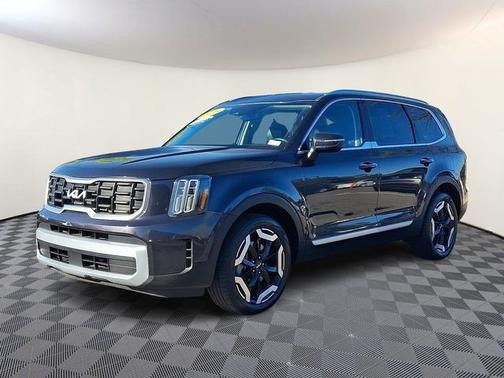 Panthera Metal 2025 Kia Telluride S