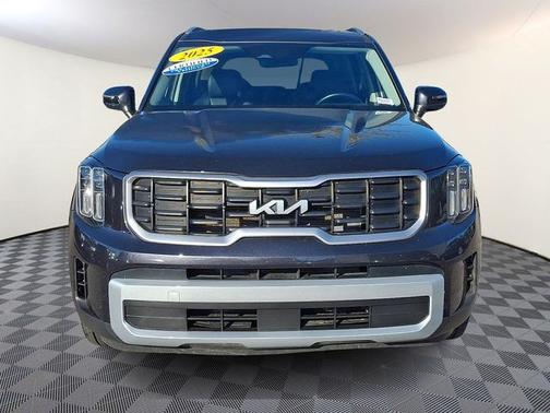 Panthera Metal 2025 Kia Telluride S