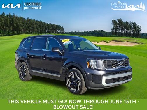 Panthera Metal 2025 Kia Telluride S