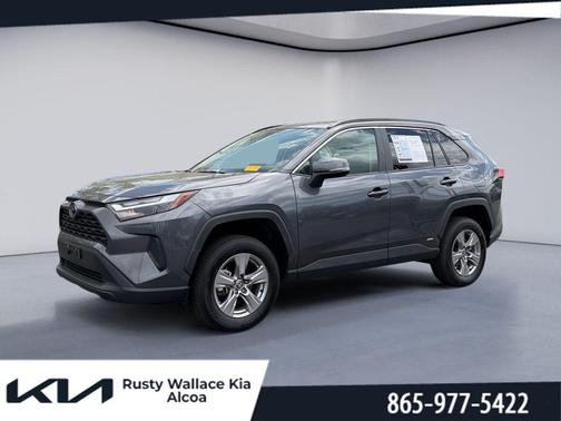 Magnetic Gray Metallic 2025 Toyota RAV4 Hybrid XLE