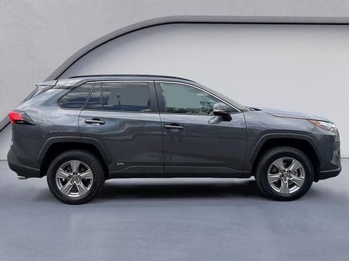 Magnetic Gray Metallic 2025 Toyota RAV4 Hybrid XLE