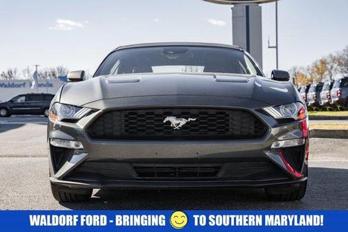 2019 Ford Mustang ECO