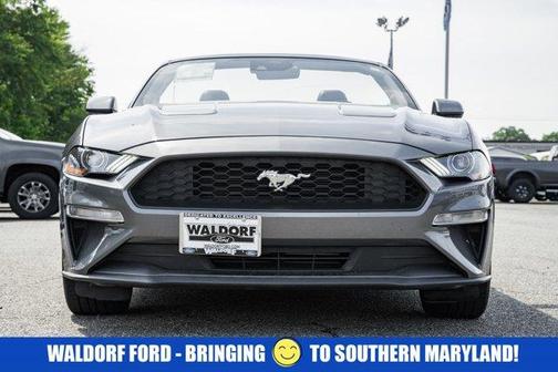 2023 Ford Mustang ECO