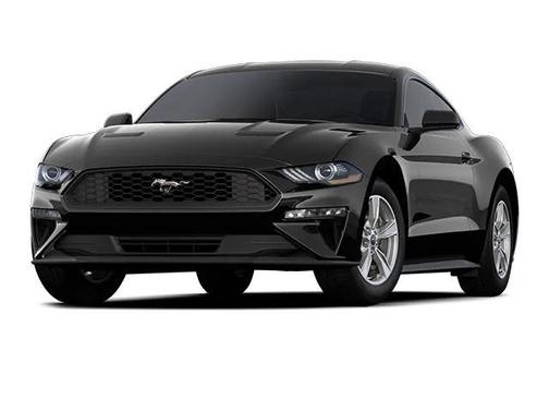 2023 Ford Mustang EcoBoost
