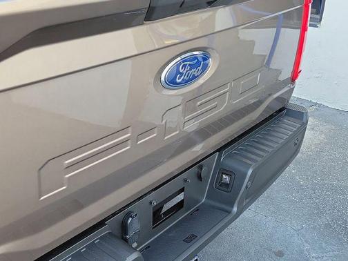 STONE GRAY METALLIC 2021 Ford F-150 XL