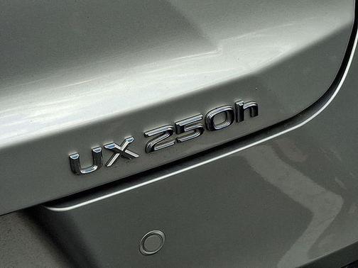 2019 Lexus UX 250h UX 250h