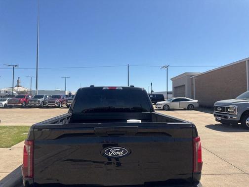 Agate Black Metallic 2025 Ford F-150 STX