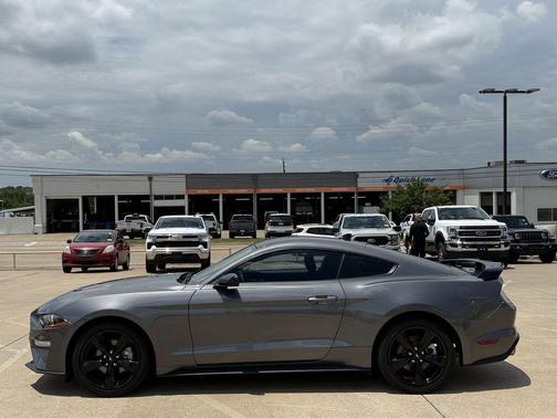 Carbonized Gray Metallic 2022 Ford Mustang EcoBoost