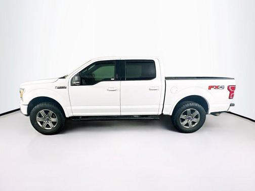 Oxford White 2019 Ford F-150 XLT