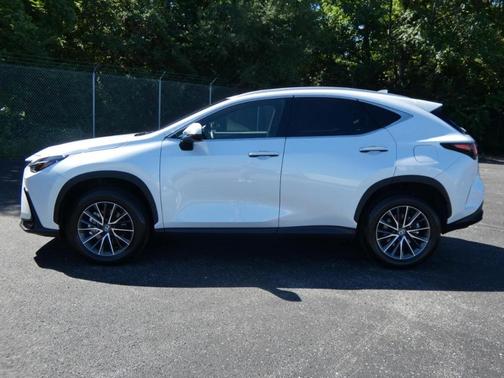 White 2024 Lexus NX 350 Premium