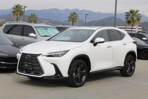 2024 Lexus NX 450h+ Luxury