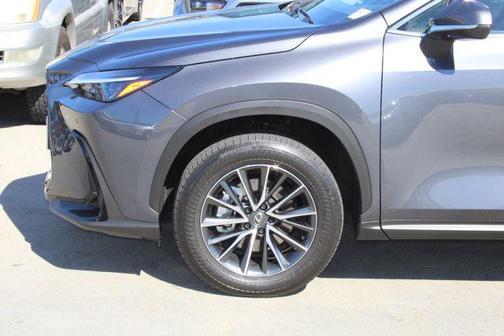 2025 Lexus NX 350h Premium