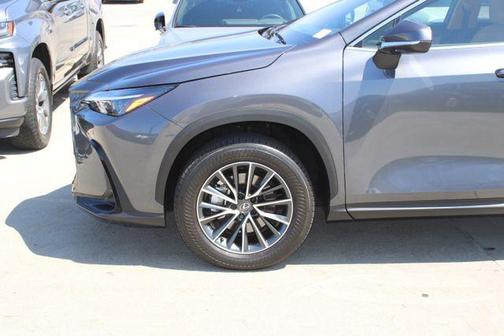 Cloudburst Gray 2025 Lexus NX 350h Premium