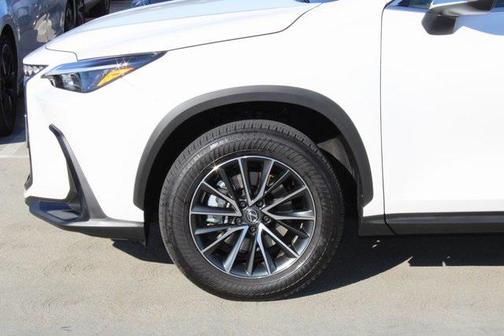 2025 Lexus NX 250 Base