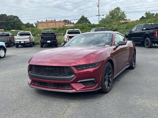 Magenta 2026 Ford Mustang EcoBoost