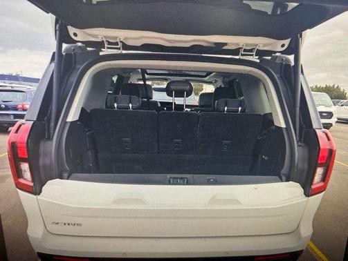 Star White 2025 Ford Expedition Active