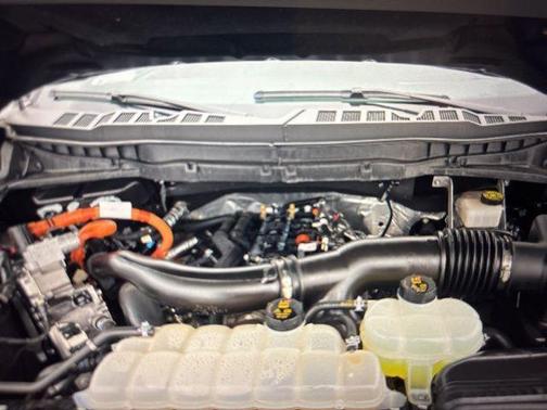 Agate Black Metallic 2024 Ford F-150 Platinum