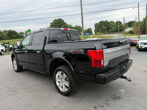 Black 2019 Ford F-150 Platinum