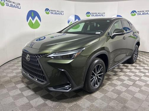 Green Pearl 2023 Lexus NX 350 Base