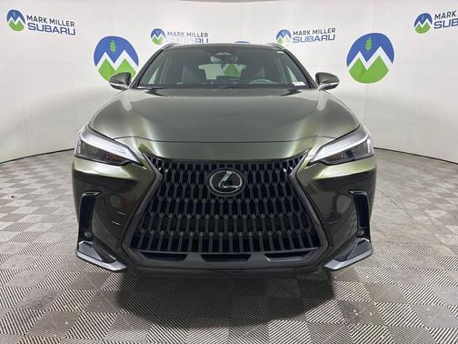 Green Pearl 2023 Lexus NX 350 Base