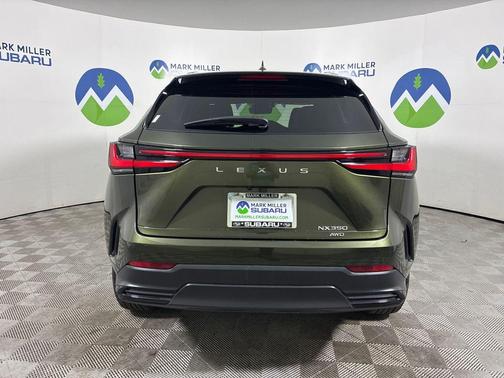 Green Pearl 2023 Lexus NX 350 Base