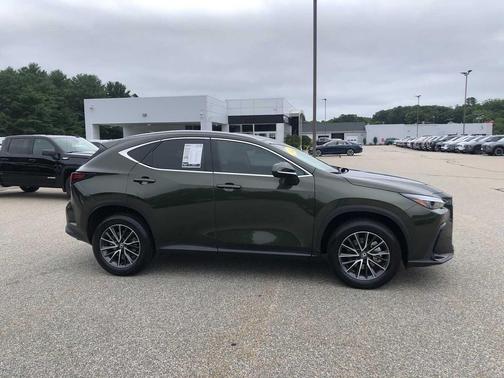 Nori Green Pearl 2025 Lexus NX 250 Base