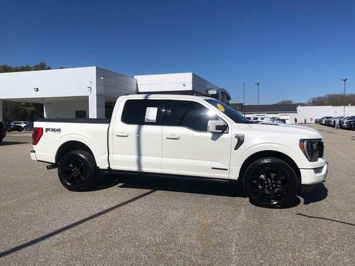 2022 Ford F-150 Platinum