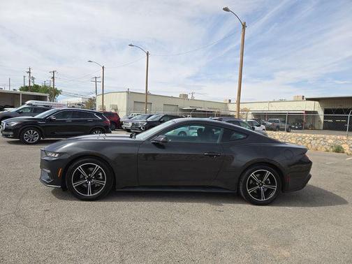Gray Metallic 2024 Ford Mustang EcoBoost