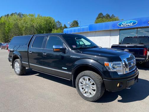 2014 Ford F-150 Platinum