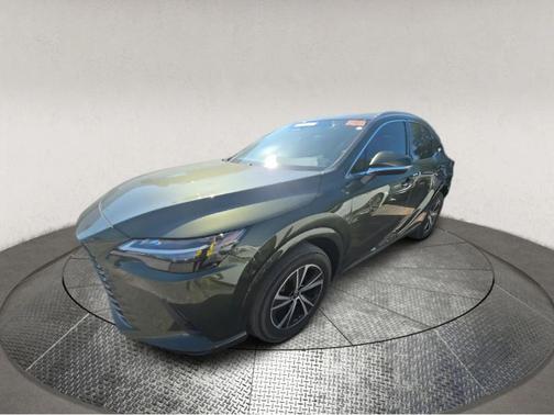 Green Pearl 2024 Lexus RX 350 Premium