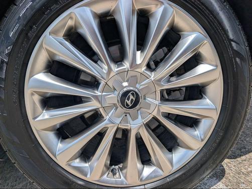 Rainforest 2020 Hyundai PALISADE Limited