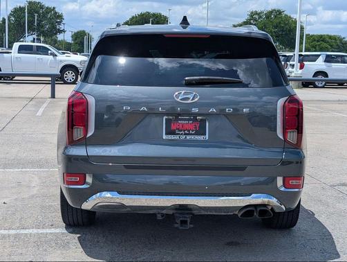 Rainforest 2020 Hyundai PALISADE Limited