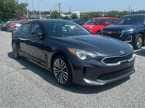 Panthera Metal 2019 Kia Stinger Base