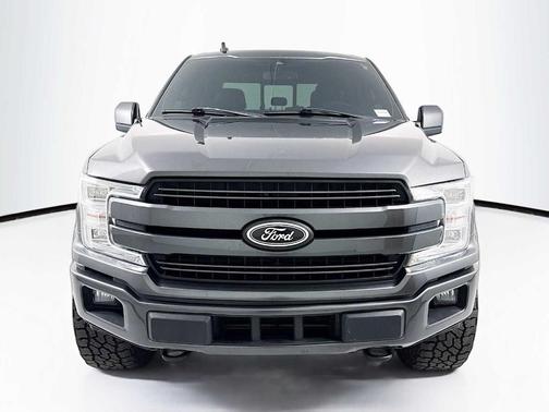 Magnetic 2019 Ford F-150 Lariat
