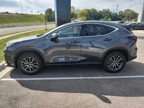 2022 Lexus NX 250 Premium