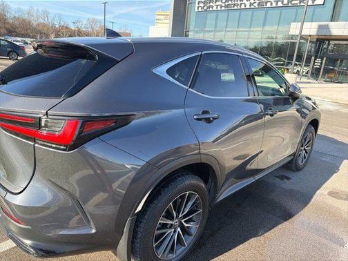 2024 Lexus NX 350h AWD