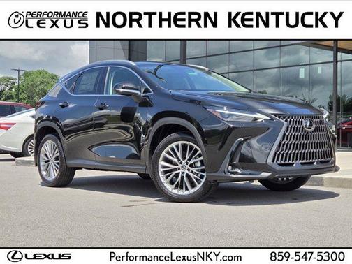 2025 Lexus NX 350 Luxury