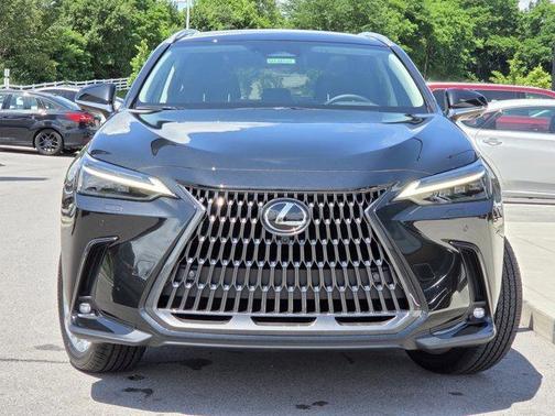 2025 Lexus NX 350 Luxury