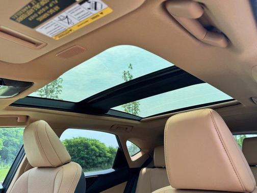 2022 Lexus NX 350h Luxury