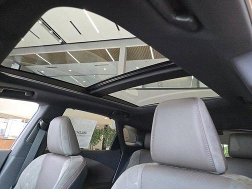 2025 Lexus RX 350 Luxury