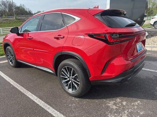 Redline 2023 Lexus NX 350 Premium