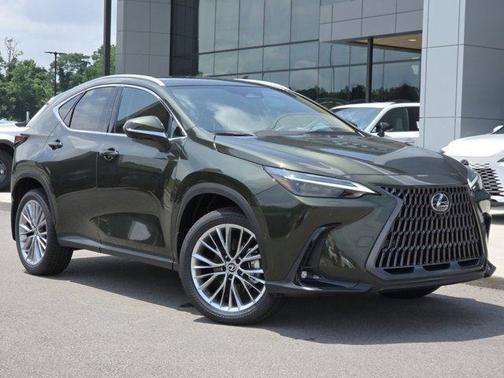 2025 Lexus NX 350 Luxury