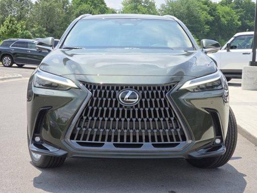 2025 Lexus NX 350 Luxury