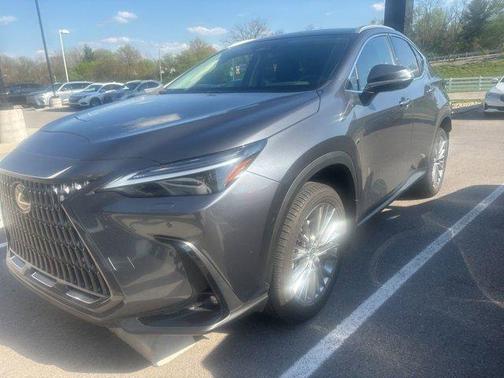 Cloudburst Gray 2024 Lexus NX 350 Luxury