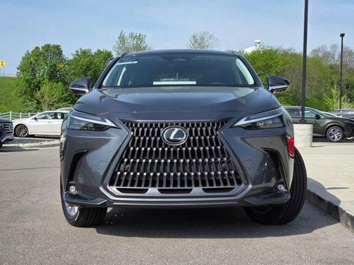 Cloudburst Gray 2024 Lexus NX 350 Luxury