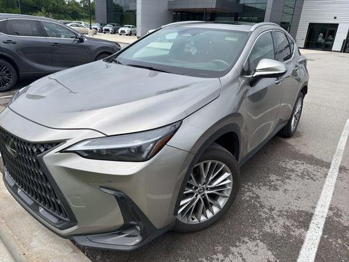 Dark Gray Metallic 2025 Lexus NX 350h Premium